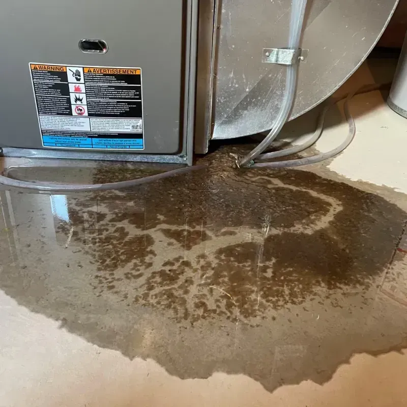 Appliance Leak Cleanup in Lancaster, SC